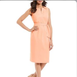 Alex Marie Peach Sleeveless Sheath Dress